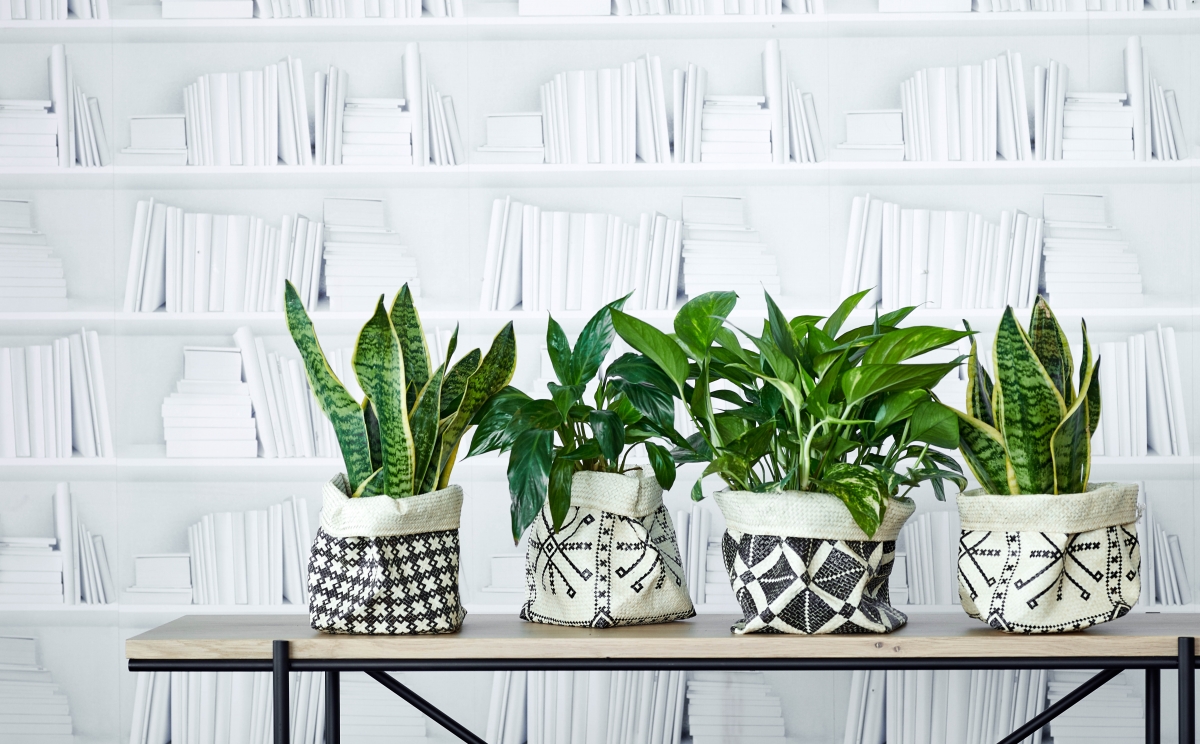 【北歐清新風】符合3種元素輕鬆拍出質感照！家居擺設提案 + 環保家品推介